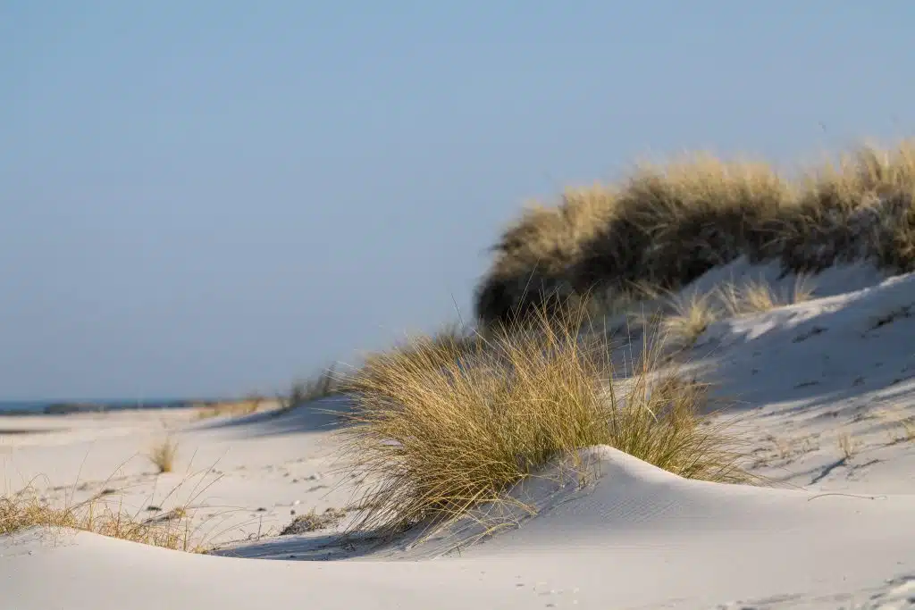 fotograf-ostsee-strand-heidkate