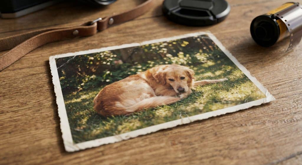 Mein erstes Foto